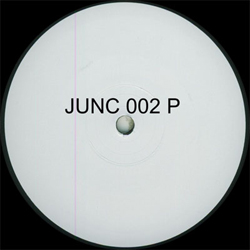 Junction 002 P