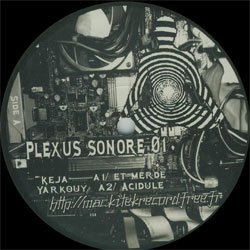 Plexus Sonore 01