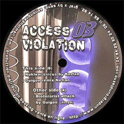 Access Violation 03