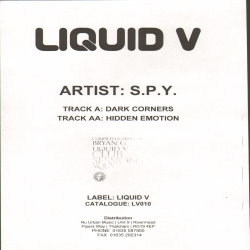 Liquid V 010 P