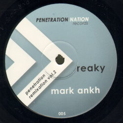 Penetration Nation 05