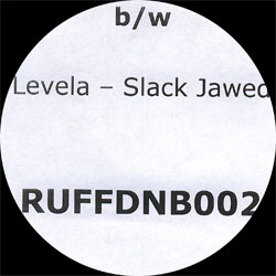 Ruff DNB 02 P