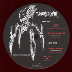 Transelucid 02