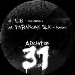 Architek 31