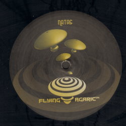 Flying Agaric 04