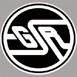 GSR 01 P
