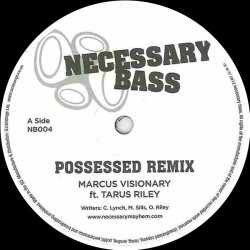 Necessary Bass 04