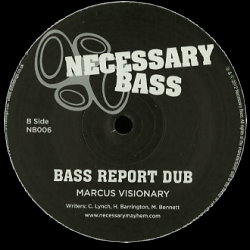 Necessary Bass 06