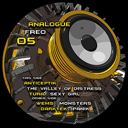 Analogue Frequency 05