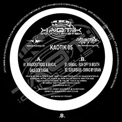 Kaotik Sound System 05