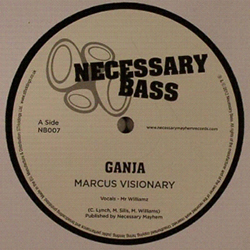 Necessary Bass 07