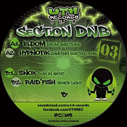 UTH Section DnB 03