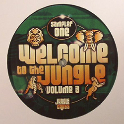 Jungle Cakes 42