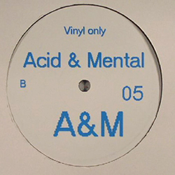 Acid And Mental 05