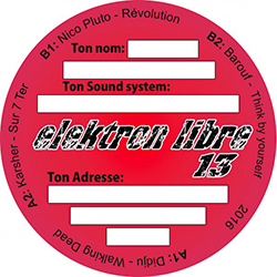 Elektron Libre 13