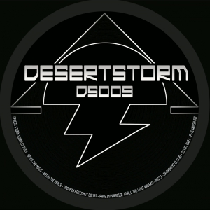 Desert Storm 09