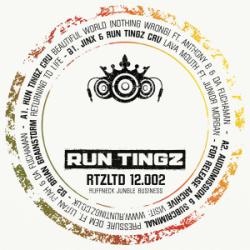 Run Tingz LTD 12002