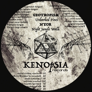 Kenopsia 03