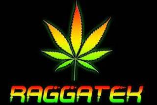 Raggatek / Jungletek